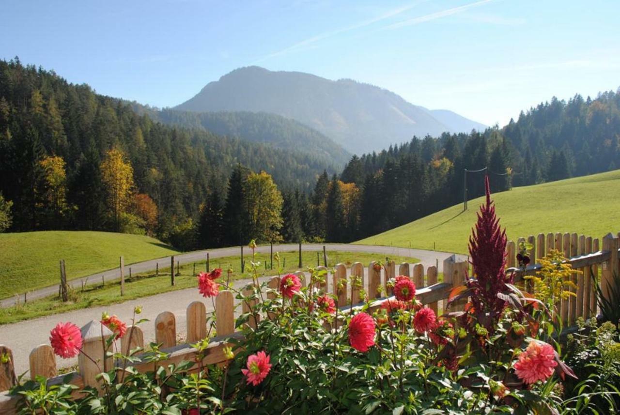 Vila Familienbauernhof Glockriegl Lunz am See Exteriér fotografie