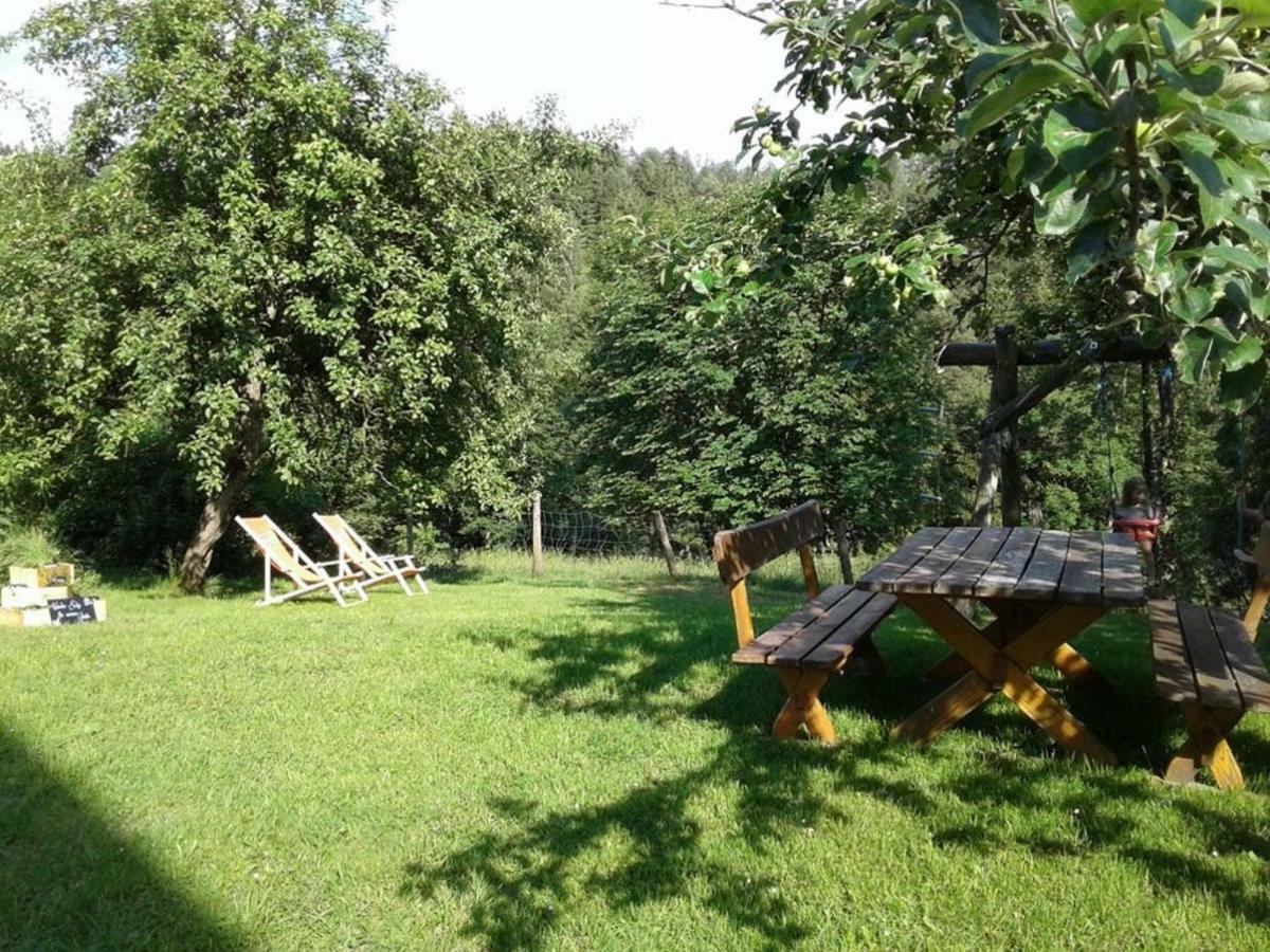 Vila Familienbauernhof Glockriegl Lunz am See Exteriér fotografie